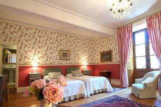 Château de Nazé Vivy-Saumur - Vivy - 6