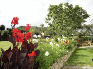 Casa Rural Vila Pomar - 6