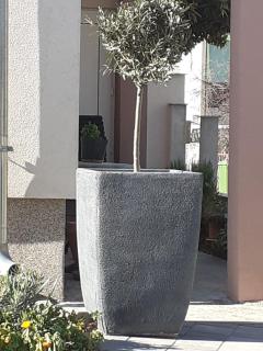 Apartman Noah - Zadar - 6