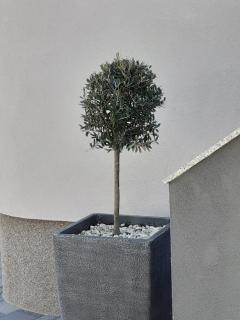 Apartman Noah - 7