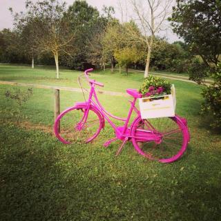 Agriturismo Podernuovo - 1