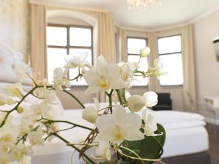 Lodner Hotel Drei Mohren - Lauingen - 7