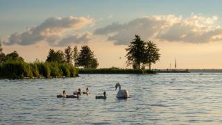 Cube Exclusive Plus mit Meerblick am Strand im EuroParcs Bad Hoophuizen - 8