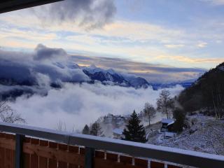 Chalet Wildi Horu OG - 9