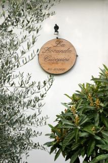 La Locanda Cuccuini - Cavriglia - 9