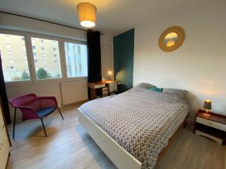 Cosy Flat 2V6 - Saint-Étienne - 2