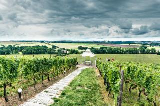 Pension Bella Vista - Winzerhof Golk - Meißen - 7