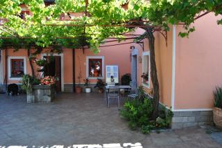 Tourist Farm Dujceva Domacija - Vremski Britof - 4