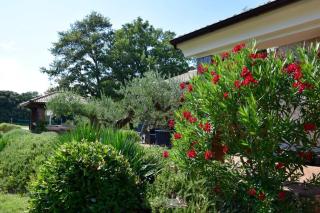 Villa Birds House Rovinj - Rovinj - 7