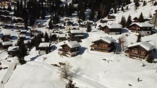 Chalet Foresta - Bettmeralp - 8