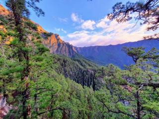 CACIGA - Santa Cruz de la Palma - 6