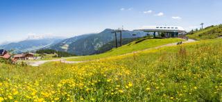 Gasthof Jandlalm - Flachau - 7