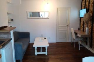 Appartement deux pièces - coeur de ville quartier cathédrale - Tours - 8