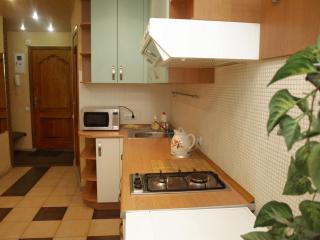 Apartment in the city center, стабильное электричество! - 1