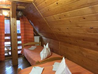 Pension Green Park - Braşov - 5