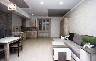 Studio Apartment in Yerevan and Tours in Armenia - Erevan - 7