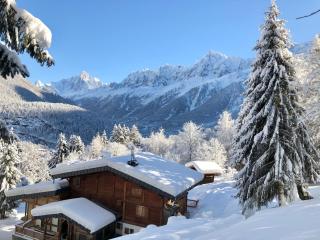 Chambres d'hôtes - B&B - Chalet Mountain Vibes - Les Houches - 8