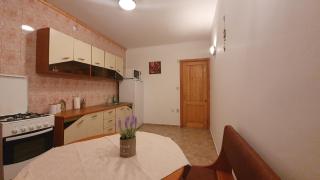 Vila Panselutelor 6 - Sinaia - 3