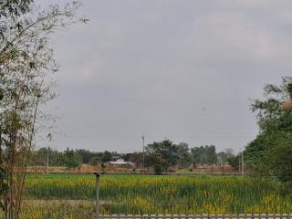 Tarmtawan garden home - 2