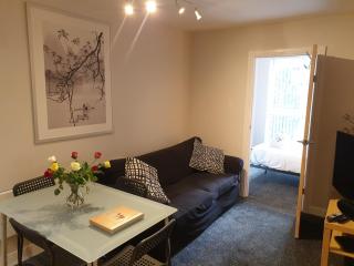 Birmingham Emerald, 2 bedroom Apartment - Birmingham - 3