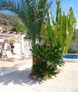 Peperent Villa Buenavista - Torrox - 9