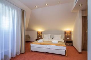 Bükkös Hotel & Spa - Szentendre - 9