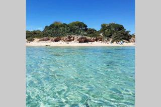 TRULLI nel cuore della Valle d’Itria con PISCINA privata - Ceglie Messapica - 6