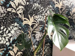 Apartament Podmiejska 57 - 4