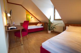 Hotel Deutsches Haus - Hammelburg - 5