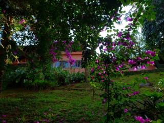 Casa Fazenda Inglesa Petrópolis RJ - Petrópolis - 9
