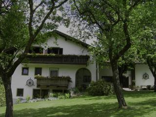 Hotel- Pension Oechsner - Bad Reichenhall - 9