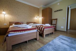 Pension Andronic - Timişoara - 8