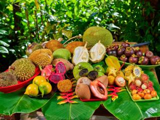 Cape Trib Farm - Cape Tribulation - 2