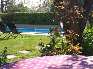 Mas la Provence - LʼIsle-sur-la-Sorgue - 8