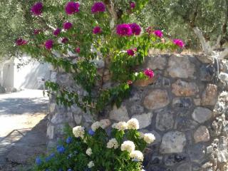 Blue Yard Apartments - Kalamata - 9