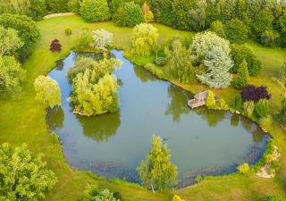 Cadnam Lodge - 2