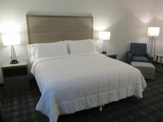 Best Western Plus Wills Point - Wills Point - 8