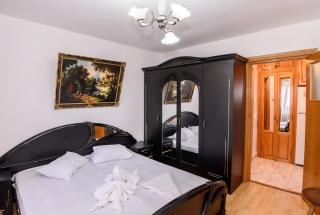 Theo Apartment Sat Vacanța - 9