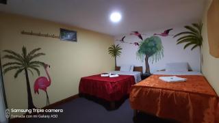 Hostal sambleño cusco Piero suite - 3