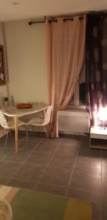 Bel appart moderne Roanne - Roanne - 9