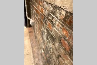 3E-Cozy! Micro apartment! in Oakland, sleeps 1 - Pittsburgh - 8