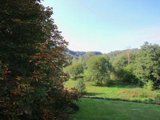 Mansion in Bastogne with Garden - Le Parque - 4