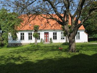 Charming apartment with terrace in Steffenshagen - Steffenshagen - 5