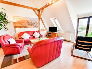 Modernes Ferienhaus in Thorstorf mit Sauna - Thorstorf - 9