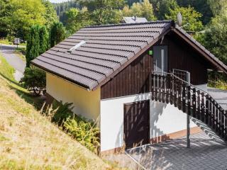 Apartment with forest in Goldisthal Thuringia - Goldisthal - 6