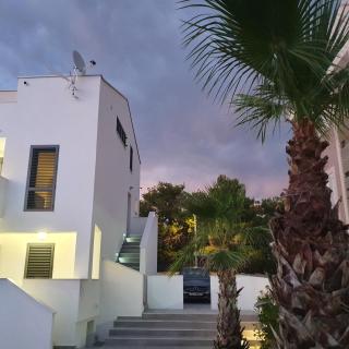 Villa Aquamarine Apartments - Novalja (Novaglia) - 4
