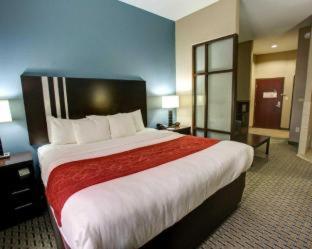 Comfort Suites Bastrop - Bastrop - 3