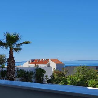 Villa Aquamarine Apartments - Novalja (Novaglia) - 1