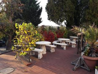 Hotel & Restaurant Bergschlösschen - Buckow - 6