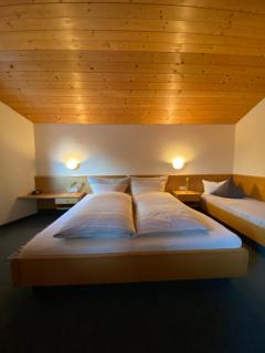 Aparts Handle und Haus Bergblick - 2